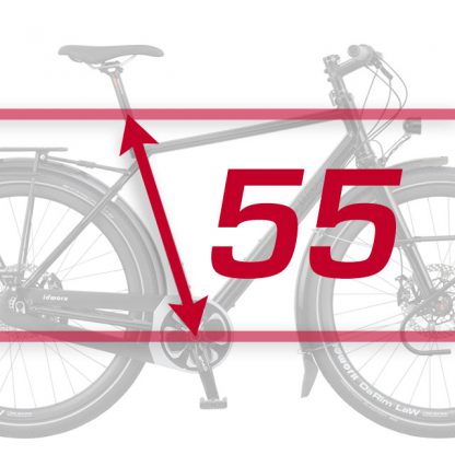 55 cm