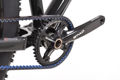 Belt Drive Rohloff MTB