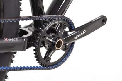 Belt Drive Rohloff MTB