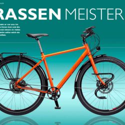 Test Idworx All Rohler: <br />„Rad des Monats 3/13 – Strassenmeister“ – Testurteil: super