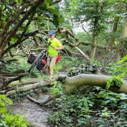 De BLT bevalt prima in de praktijk! ;) Oscar. idword BLT