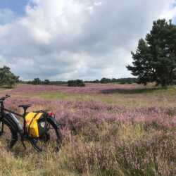 Ich habe gestern mein neues oPinion BLT-E vom Händler abgeholt und gleich Mal 50km gefahren. War einfach prima! Norbert