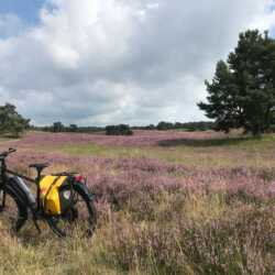 Ich habe gestern mein neues oPinion BLT-E vom Händler abgeholt und gleich Mal 50km gefahren. War einfach prima! Norbert