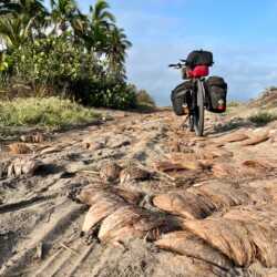 Ich bin momentan mit meinem mittlerweile zwölf Jahre alten und rund 70.000 km weit gefahrenen Titan ER auf der Mexiko Traverse unterwegs. Berge, schlechte Wegstrecke, Schlamm und teilweise Autobahn Etappen machen weder dem Rad noch dem Fahrer viel aus. Nahezu tägliche Infos gibt's unter www.gondermann.net. Jörg. Bilder aus Mexiko