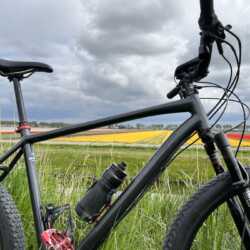 A picture I took yesterday whilst enjoying the spring and tulips. Marco. idworx Spring and tulips